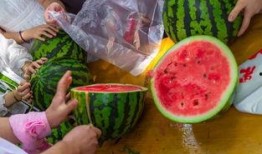 吃瓜视频大全高清